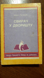 SVIRAČ U DVORIŠTU